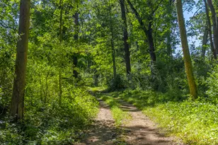 8972 College Ave, Jackson, MI 49201 - Photo 58