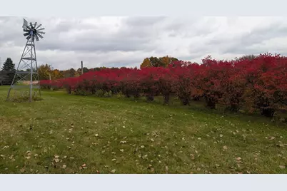 8972 College Avenue, Jackson, MI 49201 - Photo 112