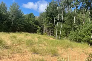 6367 N Dune Grass Trail, Hart, MI 49420 - Photo 1
