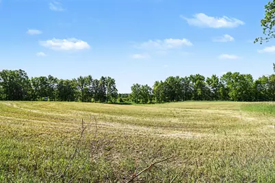 0 V/L E Charles Road #Parcel A, Ionia, MI 48846 - Photo 6