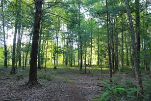 3429 W Giles Rd, Muskegon, MI 49445 - Photo 56