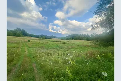 00 Clear Lake Road, Grass Lake, MI 49240 - Photo 14