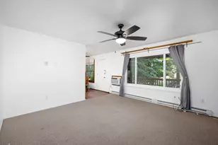 4218 Packard St, Ann Arbor, MI 48108 - Photo 8