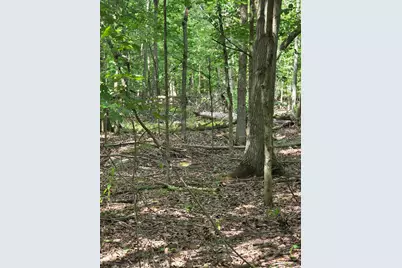 Crystal Road, Hubbardston, MI 48845 - Photo 18
