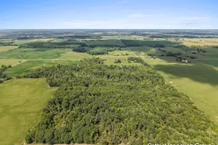 Crystal Rd, Hubbardston, MI 48845 - Photo 1