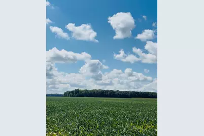 0 Ditch Road, Chesaning, MI 48616 - Photo 2