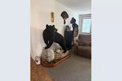 8809 W 13 Mile Road, Walkerville, MI 49459 - Photo 12