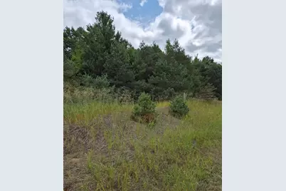 Adamson Lake Road, Kaleva, MI 49645 - Photo 2
