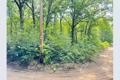 8th Avenue, Bitely, MI 49309 - Photo 2