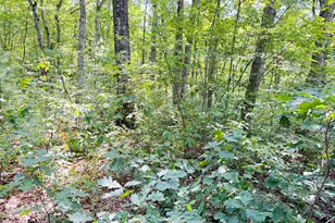 8th Ave, Bitely, MI 49309 - Photo 1