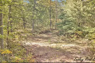 10138 Woodland Ln, Newaygo, MI 49337 - Photo 1