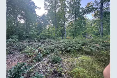 10138 Woodland Lane, Newaygo, MI 49337 - Photo 30