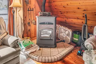 524 McLachlan Point Rd, Evart, MI 49631 - Photo 14