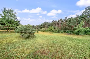 9957 150th Ave, Reed City, MI 49677 - Photo 30