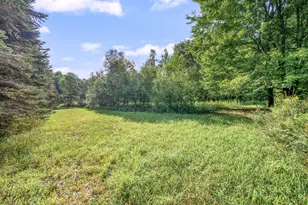 9957 150th Ave, Reed City, MI 49677 - Photo 26