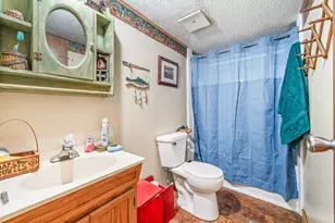 9957 150th Ave, Reed City, MI 49677 - Photo 12