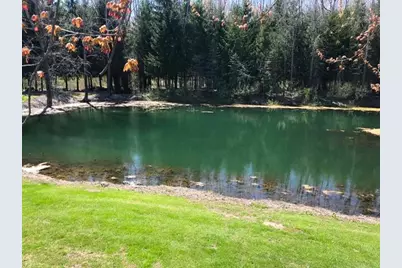 11300 Cedar Lake Road, Fenwick, MI 48834 - Photo 14