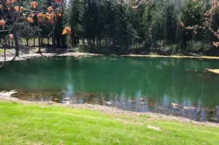 11300 Cedar Lake Rd, Fenwick, MI 48834 - Photo 14
