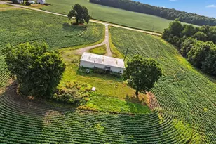 11581 Mulliken Rd, Mulliken, MI 48861 - Photo 14