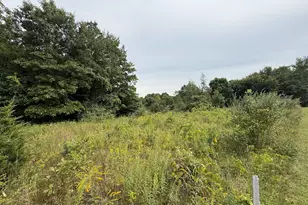 V/L Sawyer Rd, Sawyer, MI 49125 - Photo 2