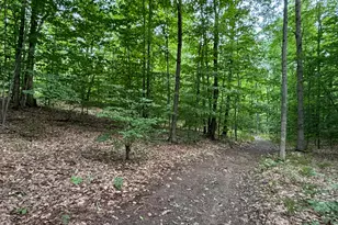 2905 E Jackson Rd, Walkerville, MI 49459 - Photo 58