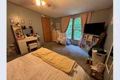 2905 E Jackson Road, Walkerville, MI 49459 - Photo 34
