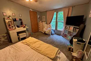 2905 E Jackson Rd, Walkerville, MI 49459 - Photo 34