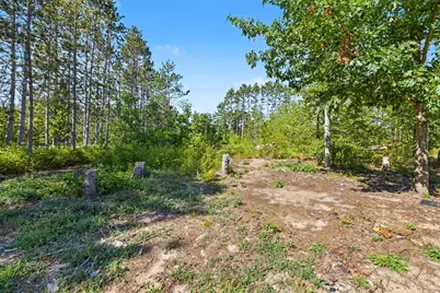 17711 Lindy Road, Thompsonville, MI 49683 - Photo 8