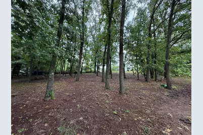 22104 W Kendaville Road, Pierson, MI 49339 - Photo 38
