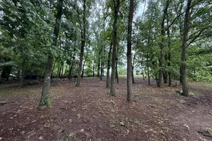 22104 W Kendaville Rd, Pierson, MI 49339 - Photo 38