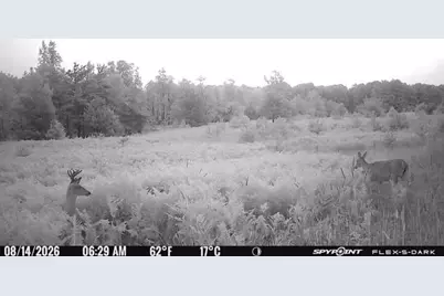 145 S 35 Road, Cadillac, MI 49601 - Photo 58