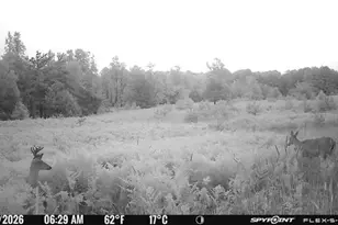 145 S 35 Rd, Cadillac, MI 49601 - Photo 58