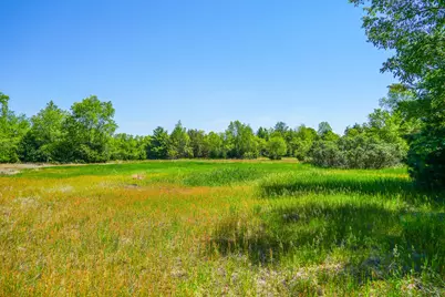 Parcel 1 Makinen Road, Kaleva, MI 49645 - Photo 8