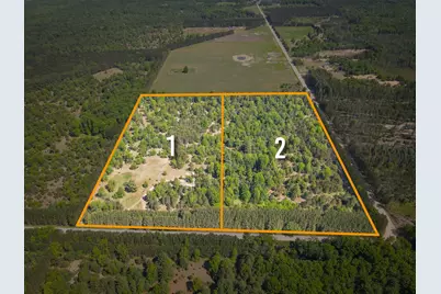 Parcel 1 Makinen Road, Kaleva, MI 49645 - Photo 34