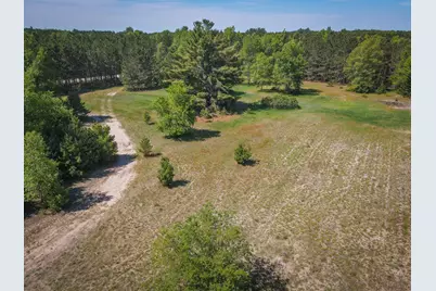 Parcel 1 Makinen Road, Kaleva, MI 49645 - Photo 4