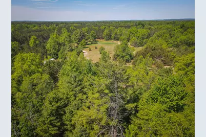 Parcel 2 Makinen Road, Kaleva, MI 49645 - Photo 16