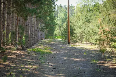 Parcel 2 Makinen Road, Kaleva, MI 49645 - Photo 30