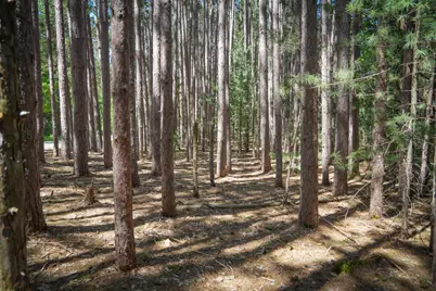 Parcel 2 Makinen Road, Kaleva, MI 49645 - Photo 32