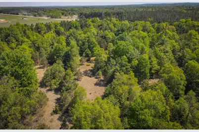 Parcel 2 Makinen Road, Kaleva, MI 49645 - Photo 26