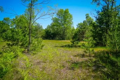 Parcel 2 Makinen Road, Kaleva, MI 49645 - Photo 20