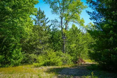 Parcel 2 Makinen Road, Kaleva, MI 49645 - Photo 22