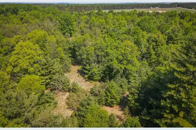 Parcel 2 Makinen Road, Kaleva, MI 49645 - Photo 4