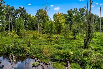 61519 Neaman Road, Constantine, MI 49042 - Photo 48