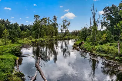 61519 Neaman Road, Constantine, MI 49042 - Photo 46