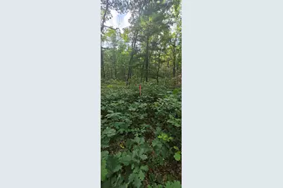 9676 N Campbell Road, Free Soil, MI 49411 - Photo 44