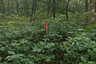 9676 N Campbell Rd, Free Soil, MI 49411 - Photo 44