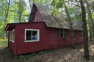 9676 N Campbell Rd, Free Soil, MI 49411 - Photo 4