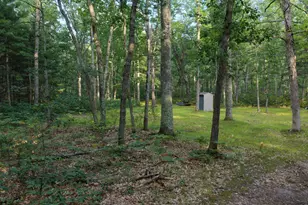 9676 N Campbell Rd, Free Soil, MI 49411 - Photo 52