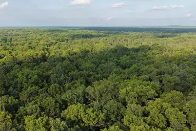 9676 N Campbell Road, Free Soil, MI 49411 - Photo 50