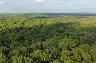 9676 N Campbell Rd, Free Soil, MI 49411 - Photo 50